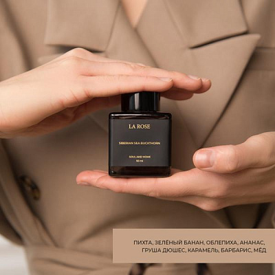 Диффузор «Сибирская облепиха», 100 мл